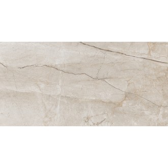 Eco 6536 Polished 60x120