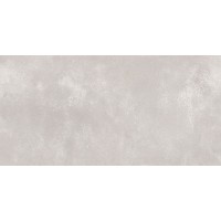 Eco LEDB 1001 Matt 60x120