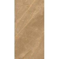 Eco Marble Royalish Brown 120x60