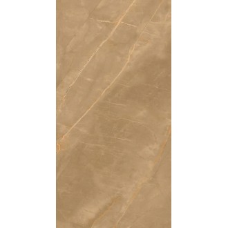 Eco Marble Royalish Brown 120x60