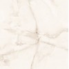 Eco Marble Silk Onyx Grey 60x60