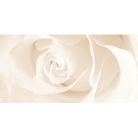 Effecta вставка бежевая (C-EC2L011D) 29,7x60