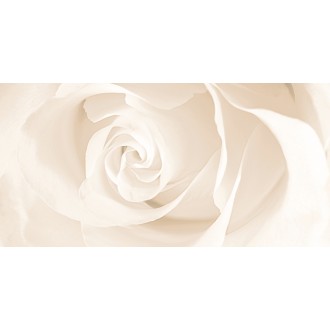 Effecta вставка бежевая (C-EC2L011D) 29,7x60