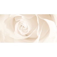 Effecta вставка бежевая (C-EC2L011 ПлиткаD) 29,8x59,8
