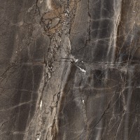 Electra Brown Полированный 60x60