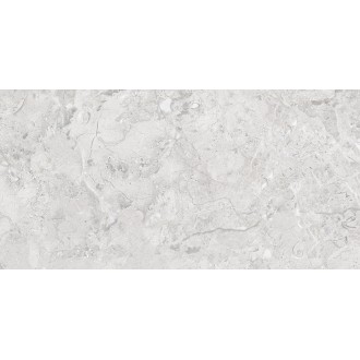 Elegance Grey Glossy Silver Line 60x120