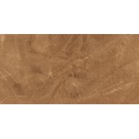 Elegant Armani Gold Полированный 60х120