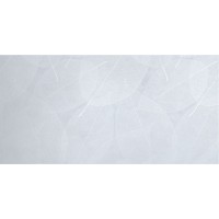 Eleganza Sky Arte Carving 60x120