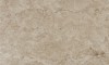 Eleganza Taupe 33.3x55