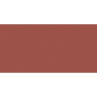 Elite Red Wine 5мм Matt 60x120