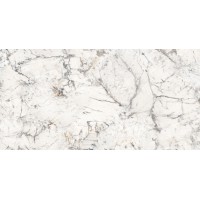 Elite White Polished Rectificado 60x120