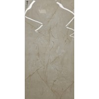 Endless Charisma Ivory 60x120