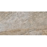 Energy Gris 60х119.5