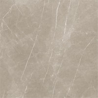 Eternal Taupe Natural 120x120