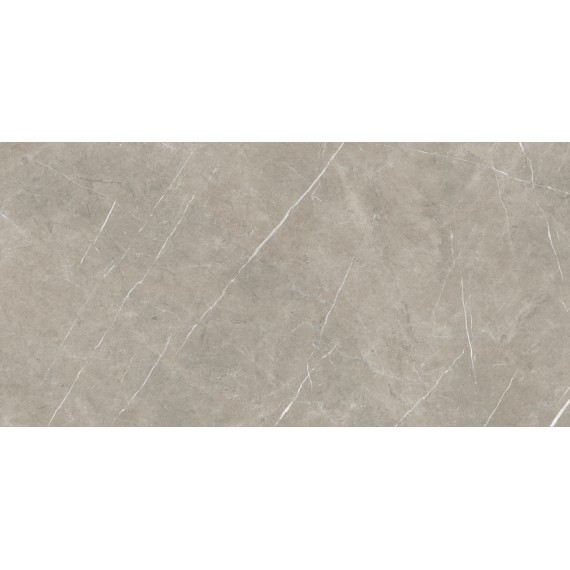 Керамогранит Eternal Taupe Natural 80x160