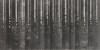 Etna Nero 15x30