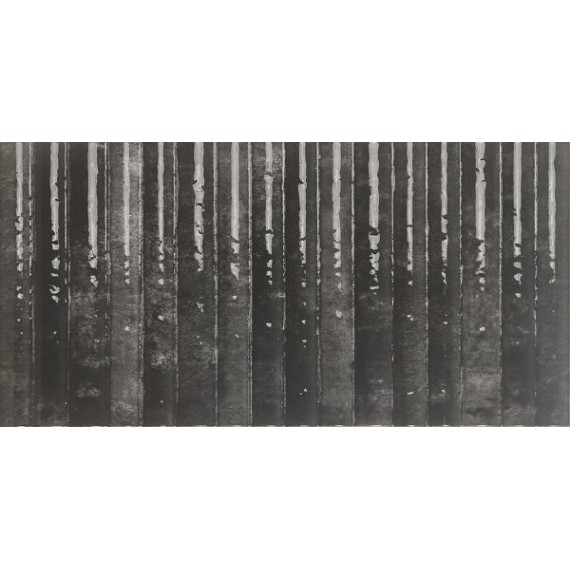 Керамическая плитка Etna Nero 15x30