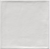 Etnia Blanco 20x20