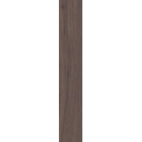 F4508M Керамогранит Forest Umber Matt 20x120