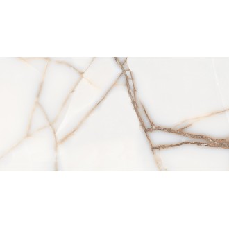 FAVORITE ONYX WHITE GLOSSY 60x120