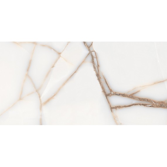 Керамогранит FAVORITE ONYX WHITE GLOSSY 60x120