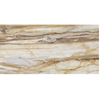 FBS00MQ041 LM FOSSIL ST R E 100X200