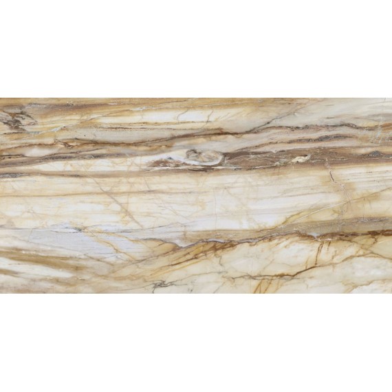 Керамогранит FBS00MQ041 LM FOSSIL ST R E 100X200