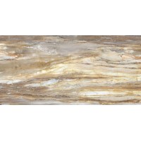 FBS01MQ041 LM FOSSIL MC R E 100X200