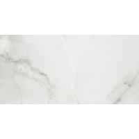 FENIX GRIS 60x120