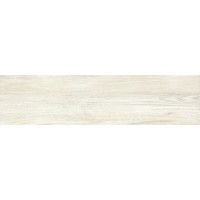 FI 10 Plus Bianco 20х80