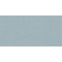 FLORALIA BLEUET 60x120