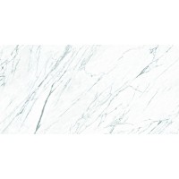 FPK01MQ011 LM STATUARIO ST 100X200