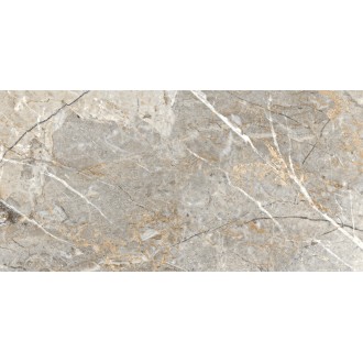 Fantastico Grey Granito Полированный 60х120