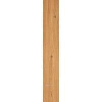 Feelwood Cognac 24x150