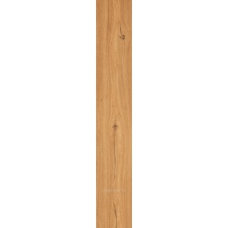 Feelwood Cognac 24x150