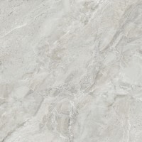 Fiama Gris Glossy 80x80