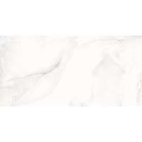 Floria Onyx Silver Polished 60x120