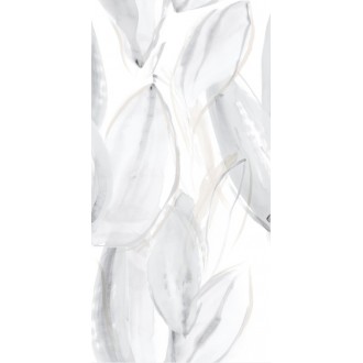 Florida-Pul Blanco RP 59x119