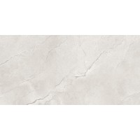 Flority Ash Glossy 60x120