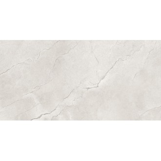 Flority Ash Glossy 60x120