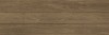 Forest Atlas Honey 31x93