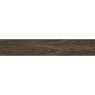 Forest Brown Matt 20x120