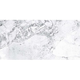 Forest White Semi Polished 59.7x119.8