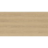 Foresta Miel Matt Carving 60x120