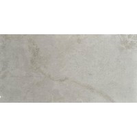 Fossil Grigio 60x120