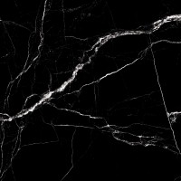 Fossil Slate High Gloss 60x60