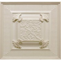 Frame Selecta Vison 25x25