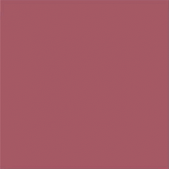 Fucsia Mate 20x20