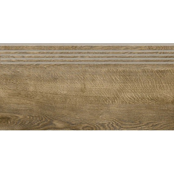 Керамогранит G-252/SR/st01 Italian Wood 20х60