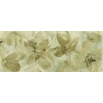 GB24 Bellagio Verde 20*50